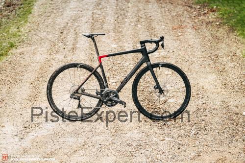 Rose Reveal Four fiche technique et avis